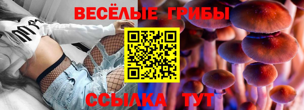 Галлюциногенные грибы MAGIC MUSHROOMS Новоалтайск